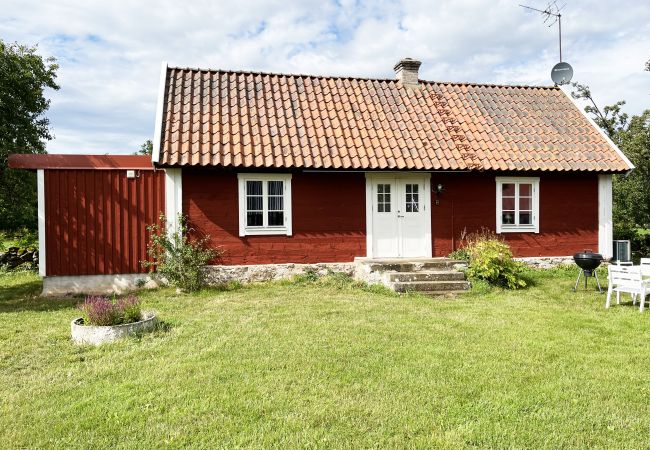 Ferienhaus in Borgholm - Schönes Ferienhaus auf Öland mit grasenden Schafen in der Umgebung I SE04033
