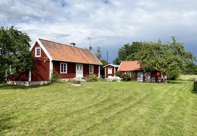 Ferienhaus in Borgholm - Schönes Ferienhaus auf Öland mit grasenden Schafen in der Umgebung I SE04033