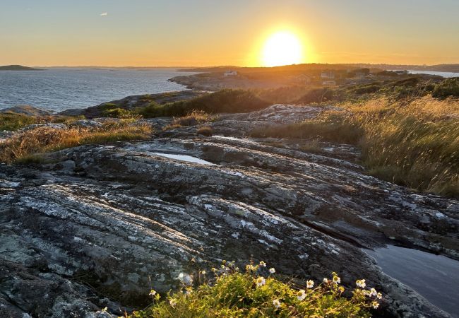 Ferienhaus in Torslanda - Einzigartige Ferienunterkunft auf Långholmen im westlichen Schärengarten von Göteborg | SE08071