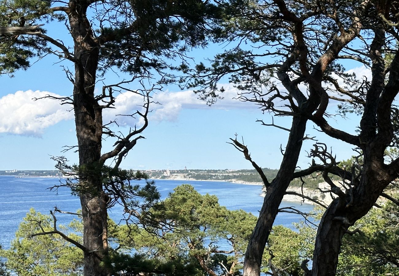 Studio in Visby - Ferienwohnung im Westen Gotlands | SE12021