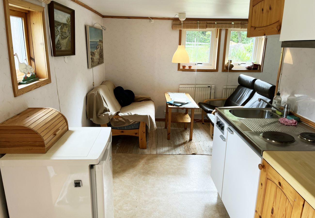 Studio in Örsjö - Rotes kleines Häuschen im Wald und neben einem kleinen See | SE05040