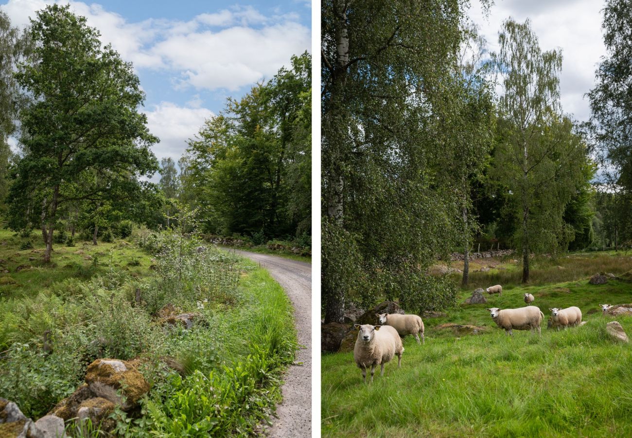 Ferienhaus in Hässleholm - Schönes Ferienhaus außerhalb von Hässleholm | SE01017