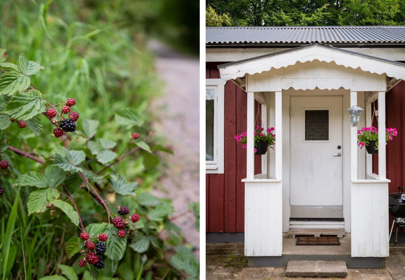 Ferienhaus in Hässleholm - Schönes Ferienhaus außerhalb von Hässleholm | SE01017