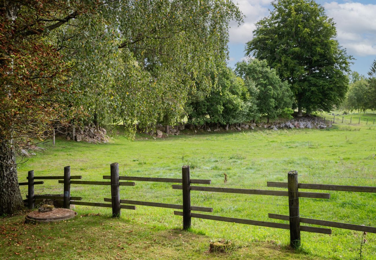 Ferienhaus in Hässleholm - Schönes Ferienhaus außerhalb von Hässleholm | SE01017