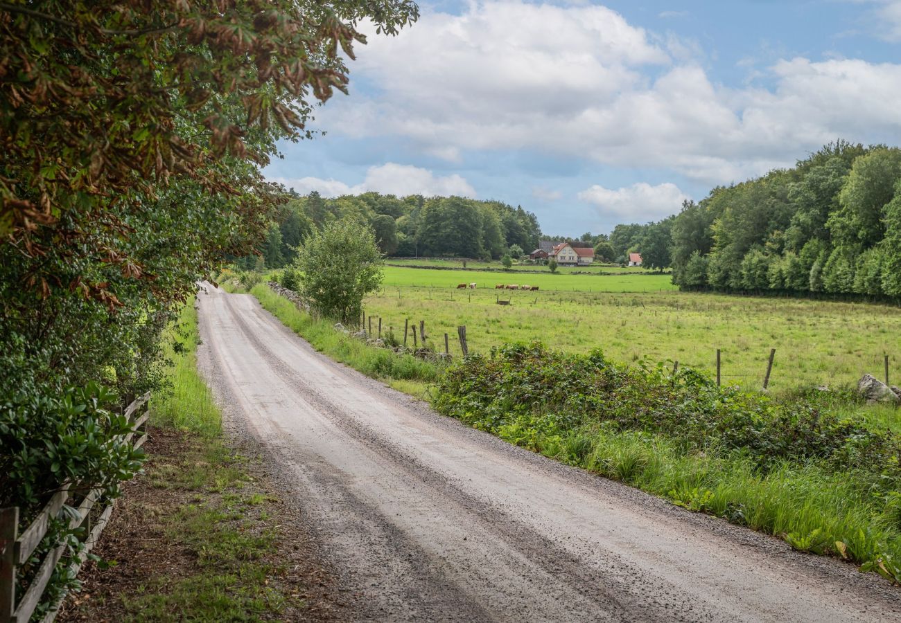 Ferienhaus in Hässleholm - Schönes Ferienhaus außerhalb von Hässleholm | SE01017