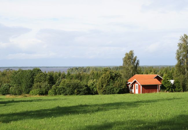 Ferienhaus in Urshult - Schönes Ferienhaus in Sånnahult, Urshult | SE06063