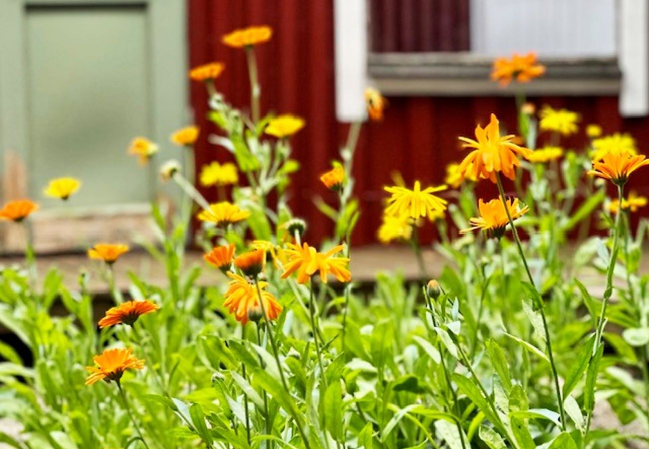 Ferienhaus in Eldsberga - Ferienunterkunft im ehemaligen Schusterhaus in Eldsberga bei Halmstad | SE02062