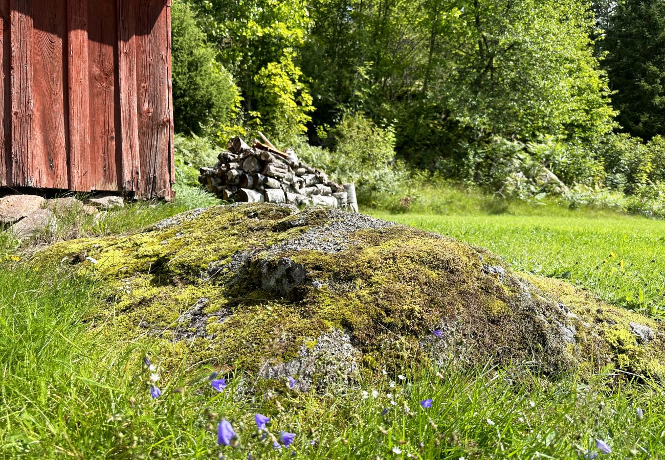 Ferienhaus in Högsäter - Gemütliches Ferienhaus bei Kroppefjäll in Högsäter | SE17012