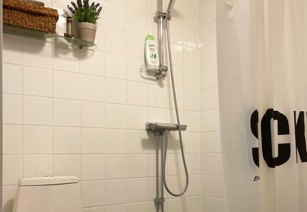 Ferienwohnung in Storvik - Ferienwohnung in Storvik in der Nähe von Skifahren und Angeln | SE20006