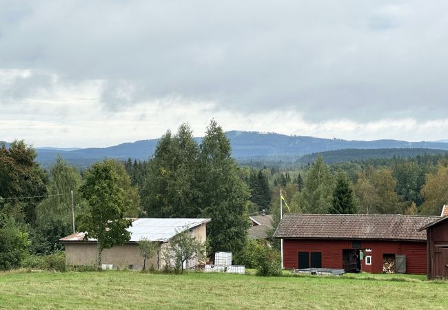Ferienhaus in Nås - Wildnishütte in Nås in der Nähe des Flusses Västerdal | SE19001