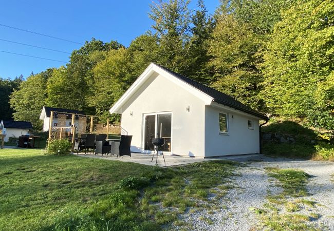 Ferienhaus in Svängsta - Kleinere Hütte in wunderschöner Waldumgebung und nur 40 m zur Angelmöglichkeit | SE03012