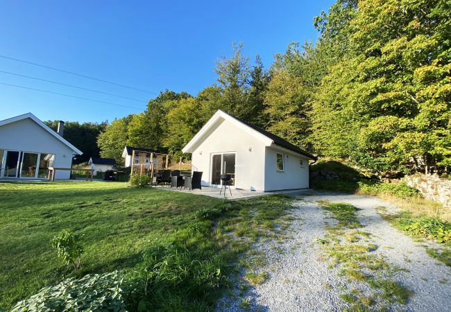 Ferienhaus in Svängsta - Kleinere Hütte in wunderschöner Waldumgebung und nur 40 m zur Angelmöglichkeit | SE03012