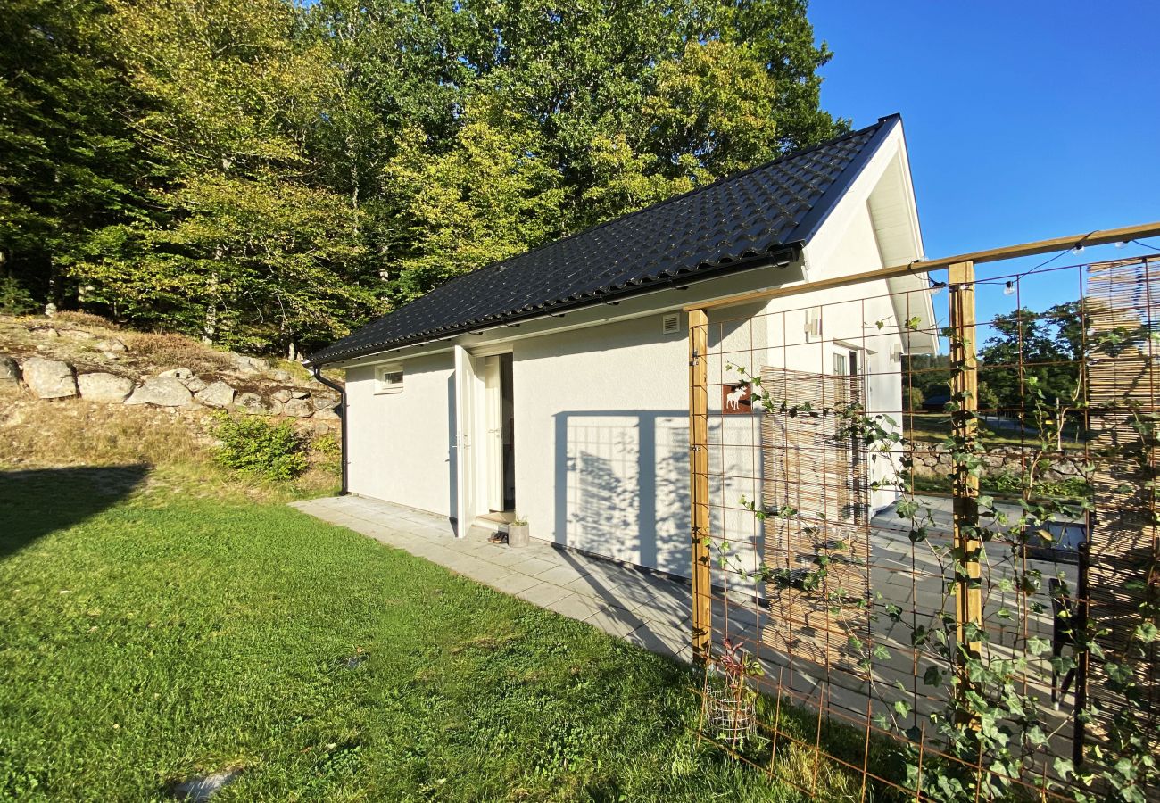Ferienhaus in Svängsta - Kleinere Hütte in wunderschöner Waldumgebung und nur 40 m zur Angelmöglichkeit | SE03012