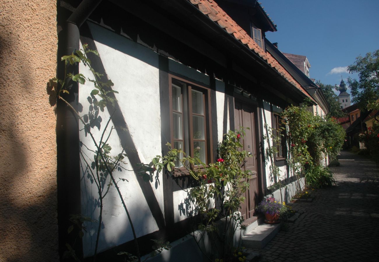Ferienhaus in Visby - Gemütliches kleines Ferienhaus mitten auf Gotland in der Nähe von Visby | SE12024