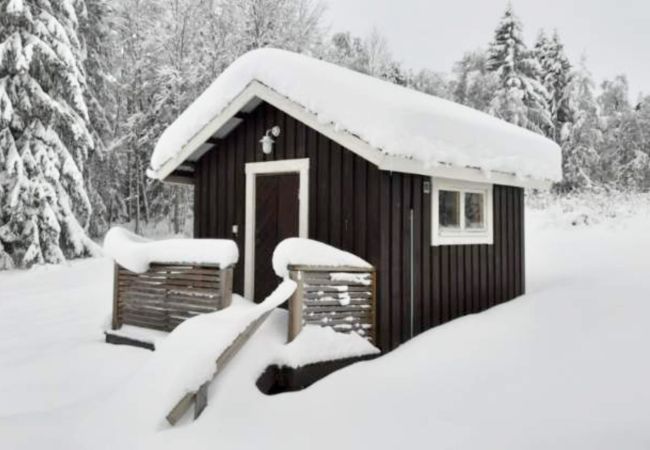 Ferienhaus in Undersåker - Gemütliches Ferienhaus in Undersåker in der Nähe von Skifahren und Angeln | SE21008
