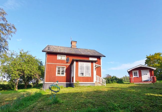  in Ockelbo - Charmantes und ländliches Ferienhaus in Ockelbo, Gästrikland | SE19037
