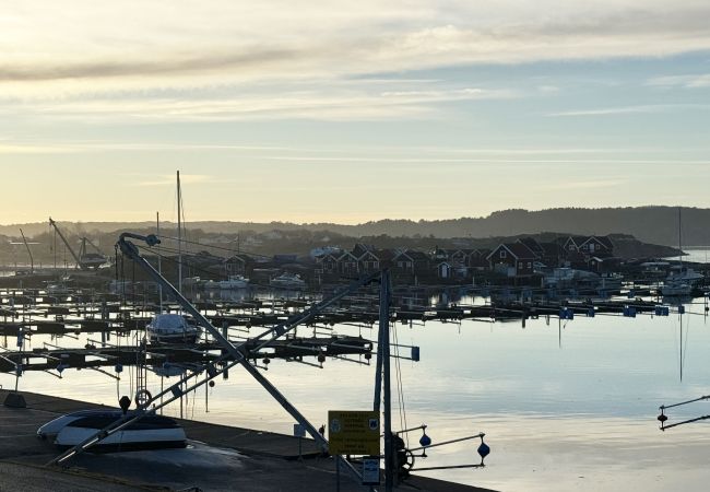 Ferienhaus in Hunnebostrand - Ein charmantes kleines Ferienhaus im Hunnebostrand | SE09048