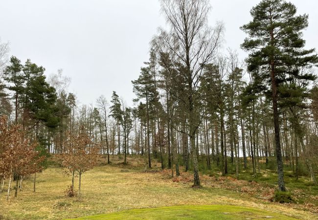 Ferienhaus in Lidhult - Schönes Ferienhaus außerhalb von Odensjö | SE06064