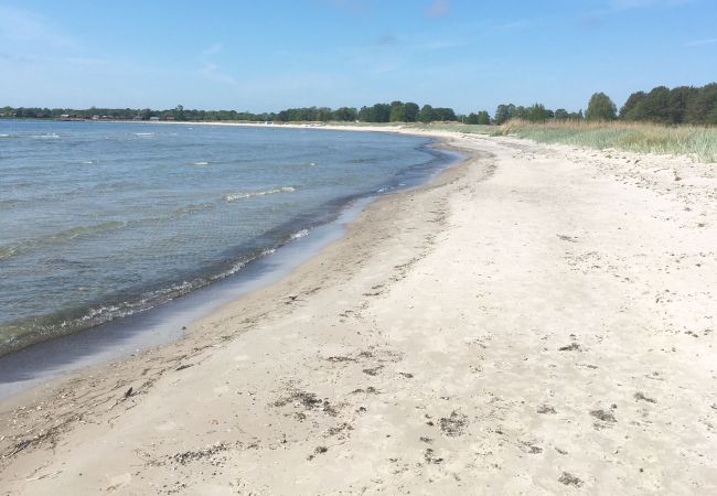 Ferienhaus in Löttorp - Gemütliches Ferienhaus nahe am Meer und feinen Sandstränden östlich von Löttorp | SE04047