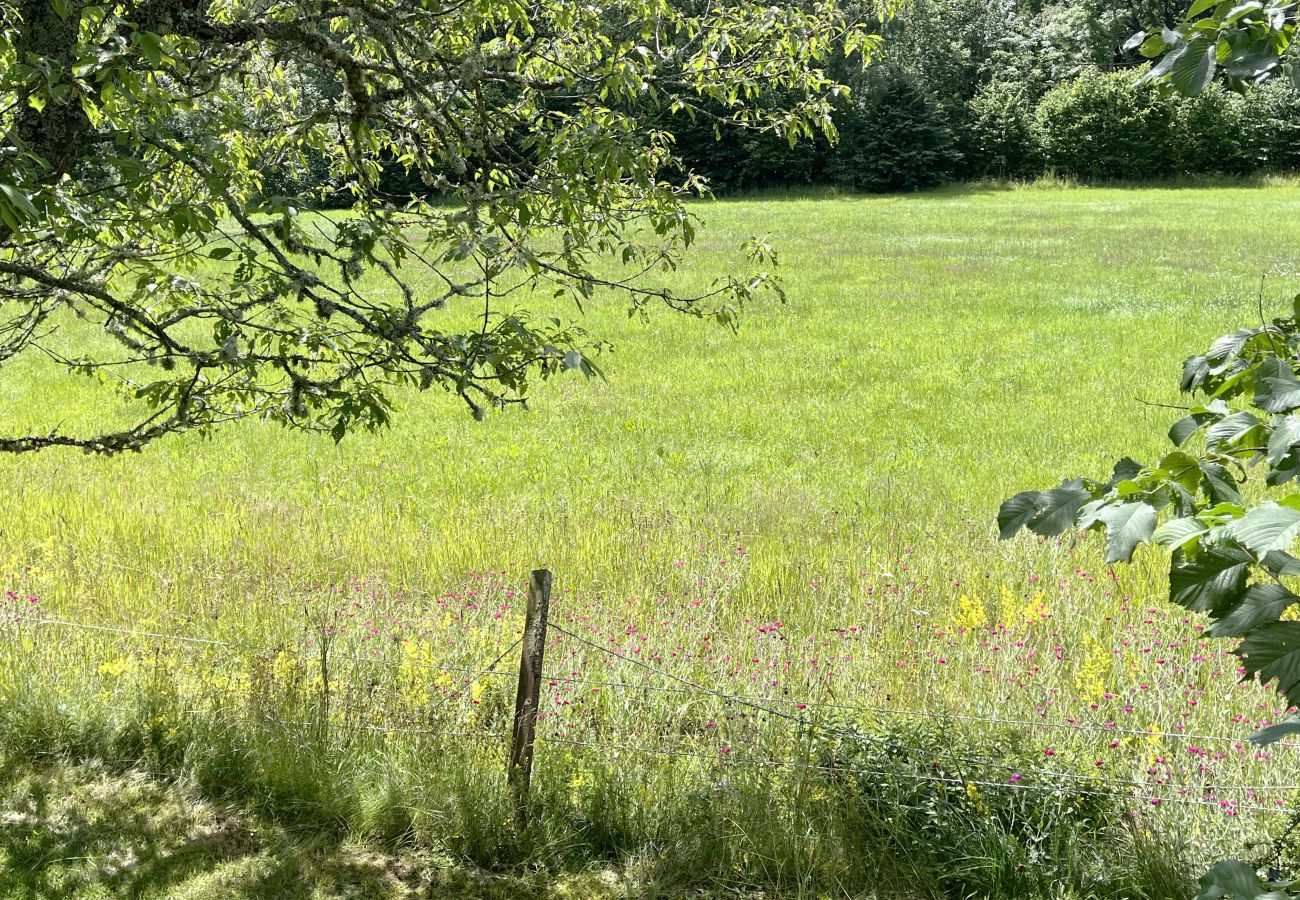 Ferienhaus in Järnforsen - Rotes Ferienhaus in der Nähe von Wald und Grundstück außerhalb von Virserum | SE05066