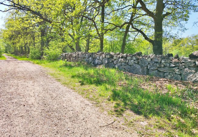 Ferienhaus in Rockneby - Große und geräumige Villa in Revsudden, nördlich von Kalmar | SE05075 Ferienhaus in Rockneby - Große und geräumige Villa in Revsudden, nördlich von Kalmar | SE05075