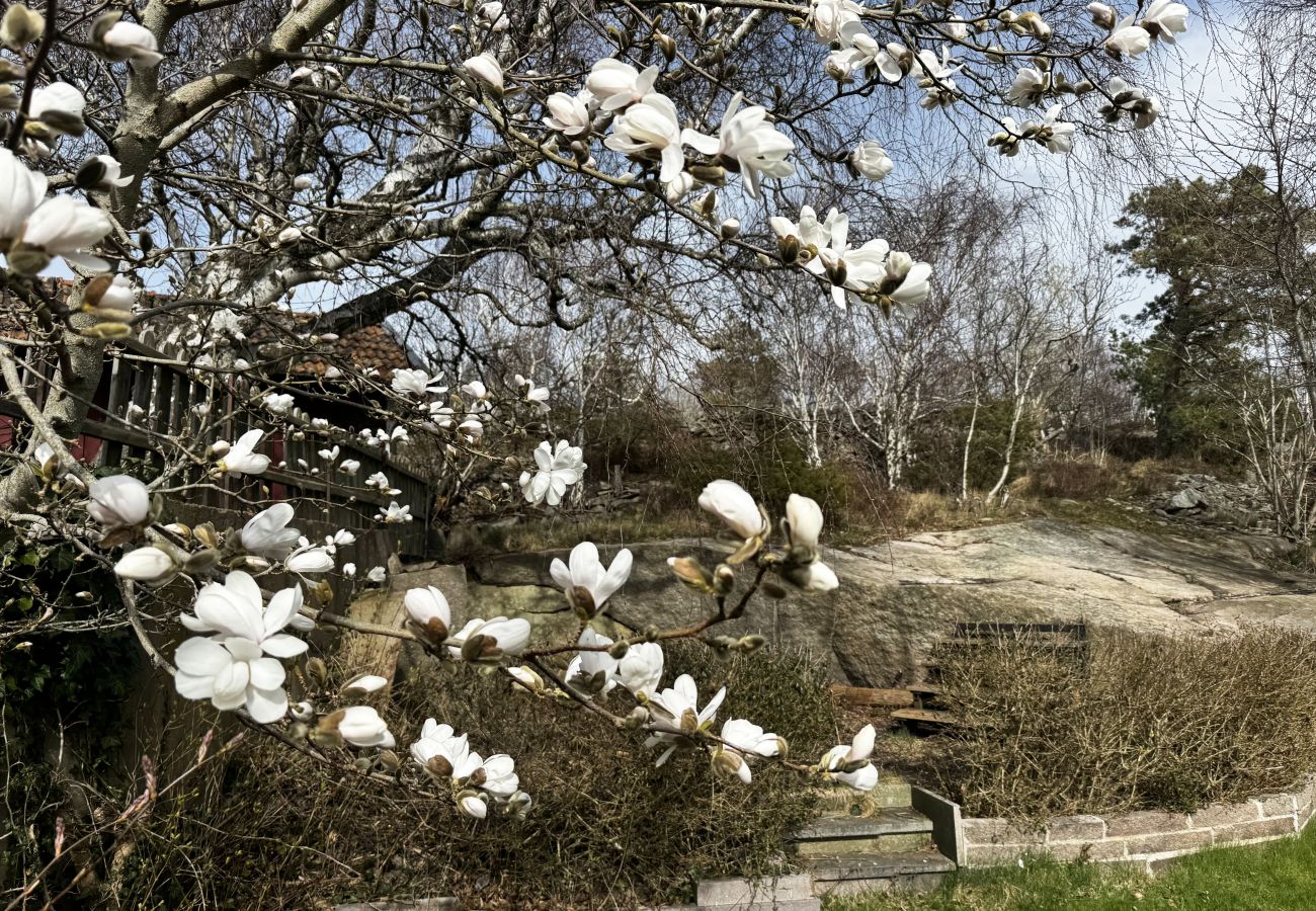 Ferienhaus in Hunnebostrand - Geräumige Villa im Zentrum von Hunnebostrand | SE09077