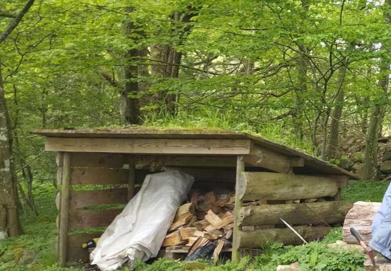 Blockhütte in Billesholm -  Charmantes Ferienhaus bei Söderåsen SE01077