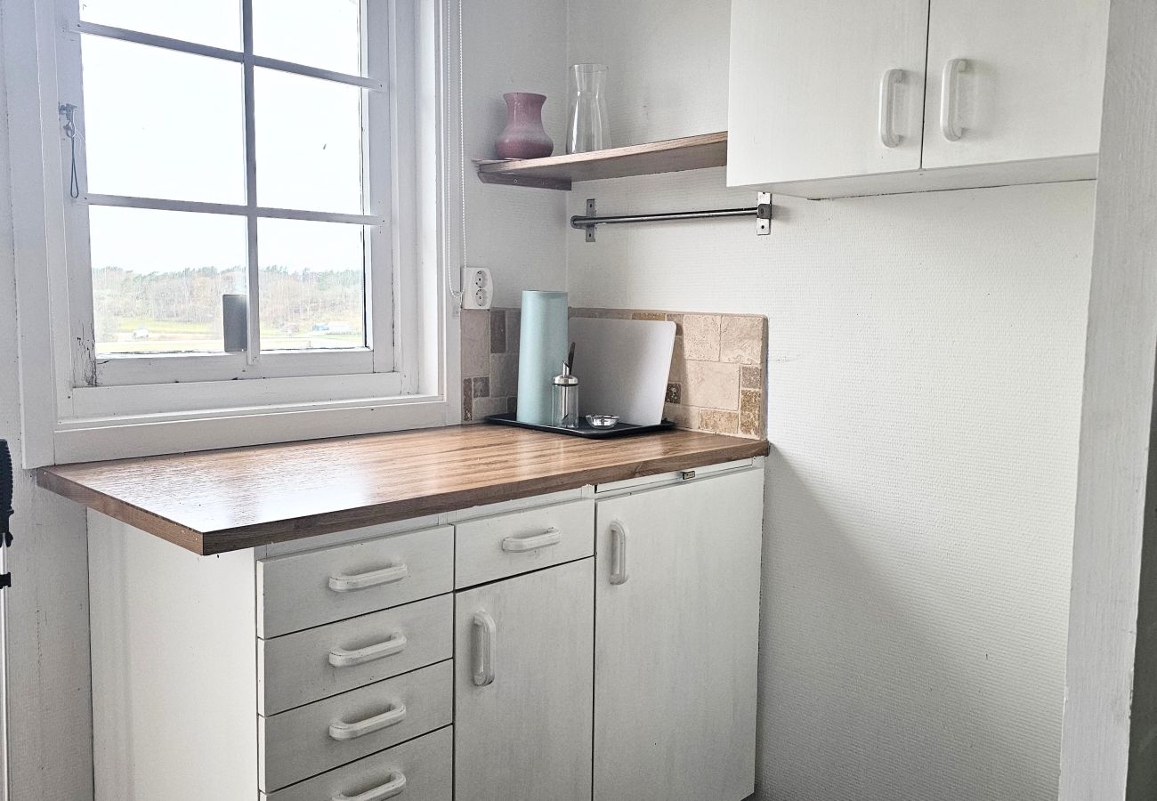 Ferienhaus in Ellös - Großes Ferienhaus nahe Hälleviksstrand – ideal für Familien | SE09105