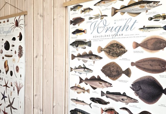 Ferienhaus in Hälleviksstrand - Gemütliches Ferienhaus nahe Hälleviksstrand | SE09132 Ferienhaus in Hälleviksstrand - Gemütliches Ferienhaus nahe Hälleviksstrand | SE09132