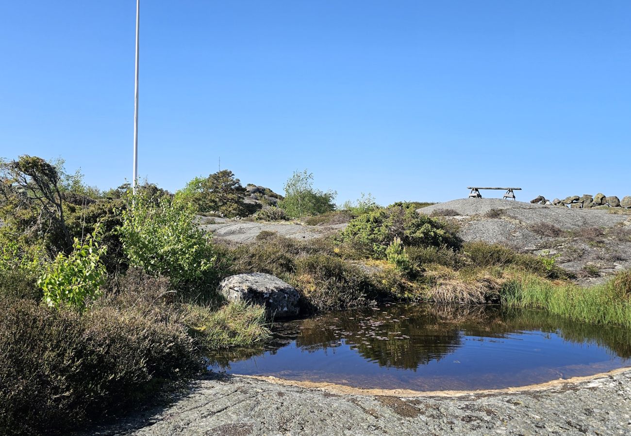 Ferienhaus in Hälleviksstrand - Gemütliches kleines Ferienhaus in ruhiger Lage auf einem Berggrundstück, nur wenige Gehminuten vom Fischerdorf Hälleviksstrand entfernt SE09132