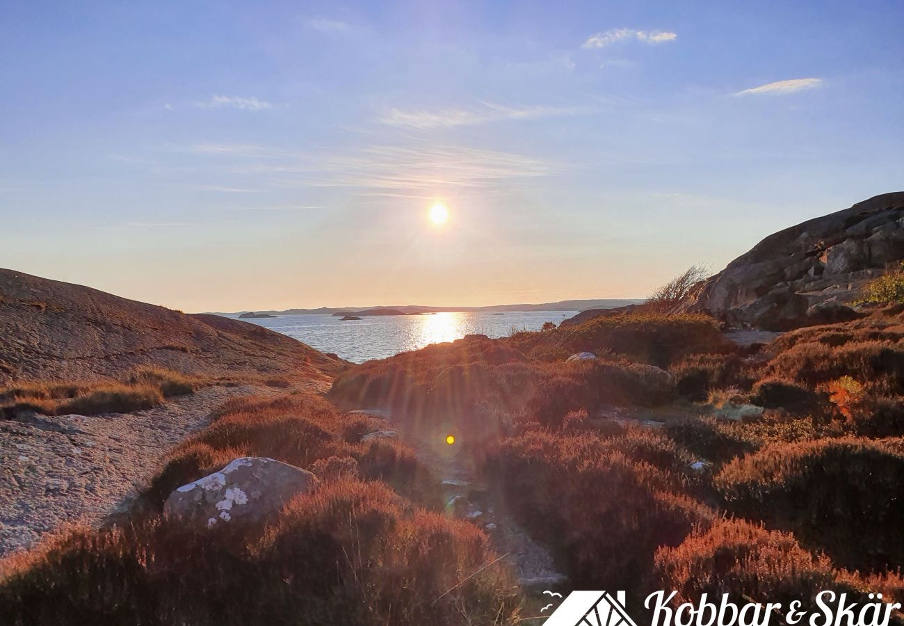 Ferienhaus in Hjälteby - Ferienhaus mit Naturgrundstück und Sauna auf Mjörn | SE09134