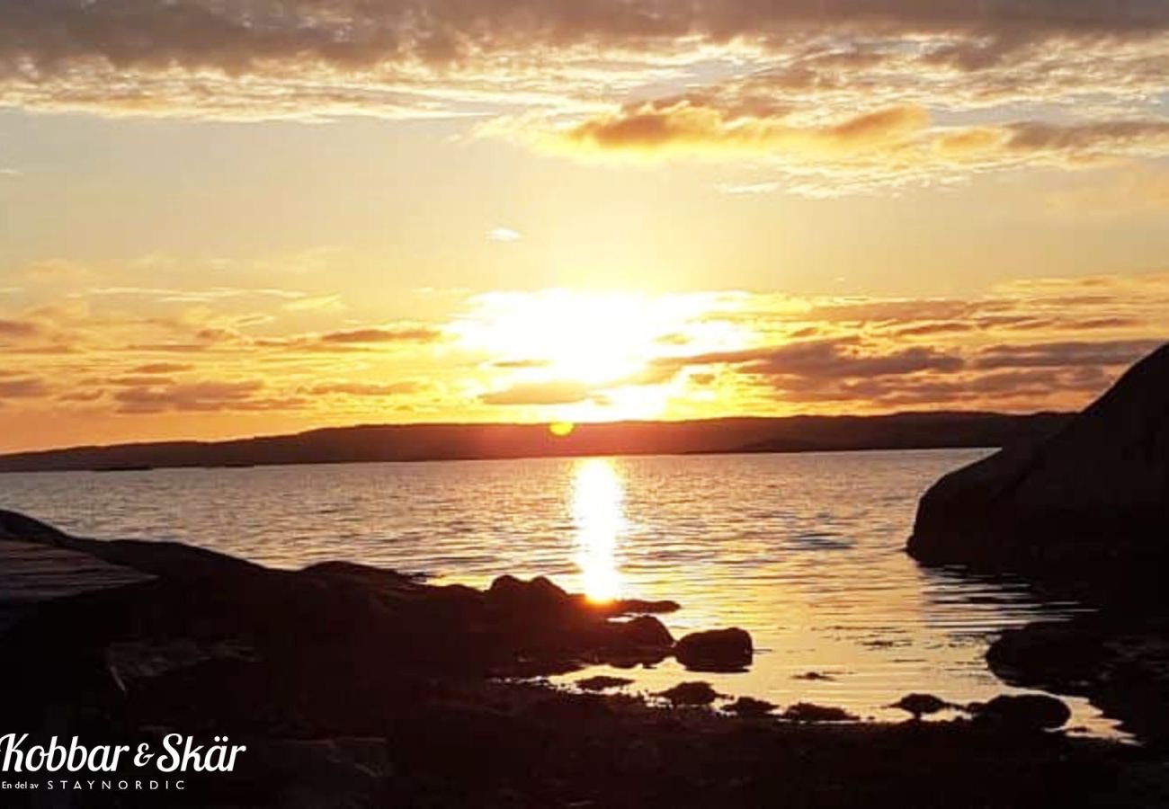 Ferienhaus in Hjälteby - Ferienhaus mit Naturgrundstück und Sauna auf Mjörn | SE09134