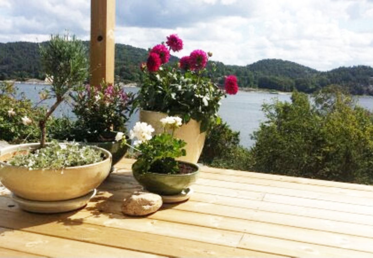 Ferienhaus in Svanesund - Fantastischer Meerblick und 100 m zum Strand in Svanesund | SE09137