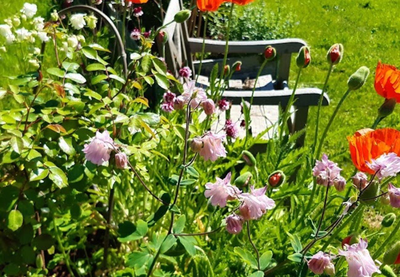 Ferienhaus in Svanesund - Fantastischer Meerblick und 100 m zum Strand in Svanesund | SE09137