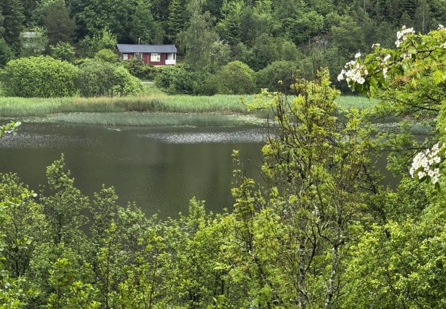  in Hällevadsholm - Gemütliche Wildnishütte in Kynnefjäll – in der Nähe von See, Natur und Wanderwegen |SE09081