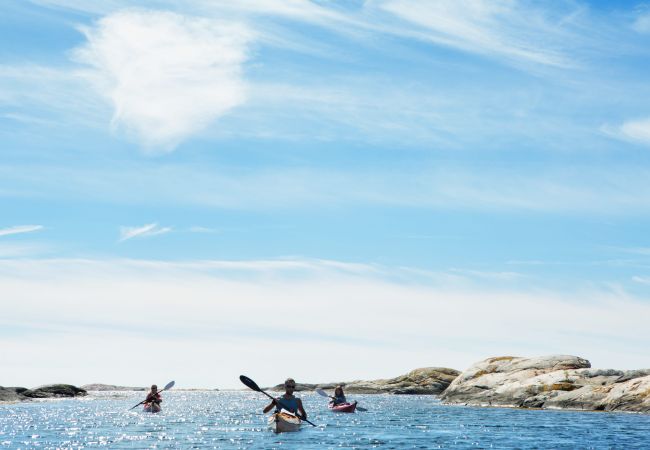 Ferienhaus in Munkedal - Blockhaus mit Pool, Sauna und Boot beim Schloss Torreby | SE09080 Ferienhaus in Munkedal - Blockhaus mit Pool, Sauna und Boot beim Schloss Torreby | SE09080