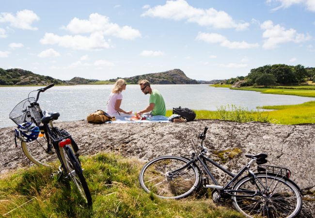 Ferienhaus in Ellös - Ferienwohnung in Stocken, Sauna, 250 m vom Meer | SE09142 Ferienhaus in Ellös - Ferienwohnung in Stocken, Sauna, 250 m vom Meer | SE09142