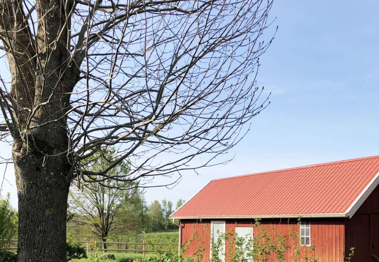 Ferienhaus in Lidköping - Charmante und geräumige Villa bei Lidköping |SE08085