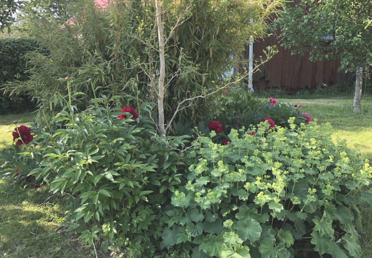 Ferienhaus in Lidköping - Charmante und geräumige Villa bei Lidköping |SE08085