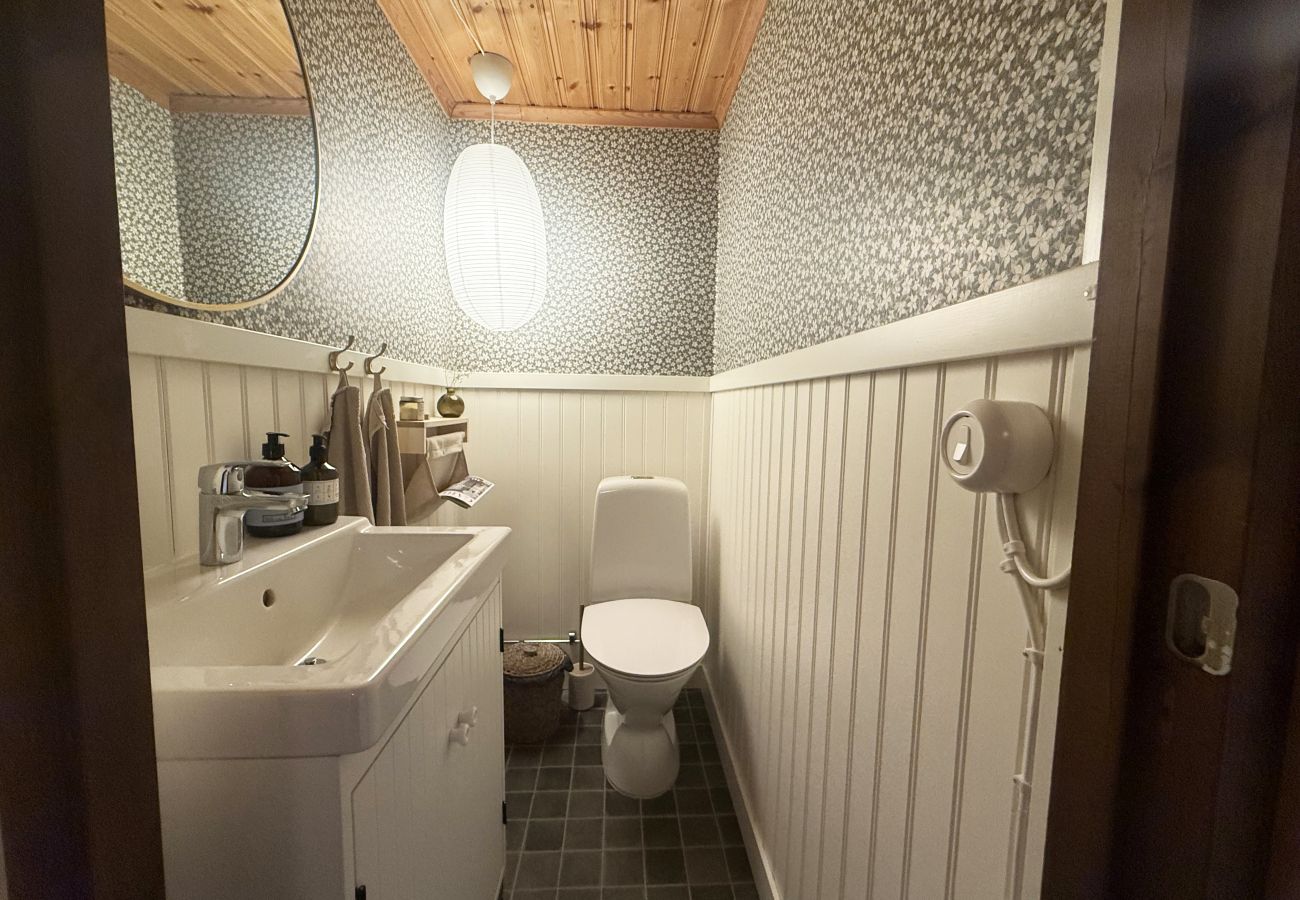 Ferienhaus in Laholm - Ruhiges Ferienhaus am Waldrand – in der Nähe von Laholm |SE02119