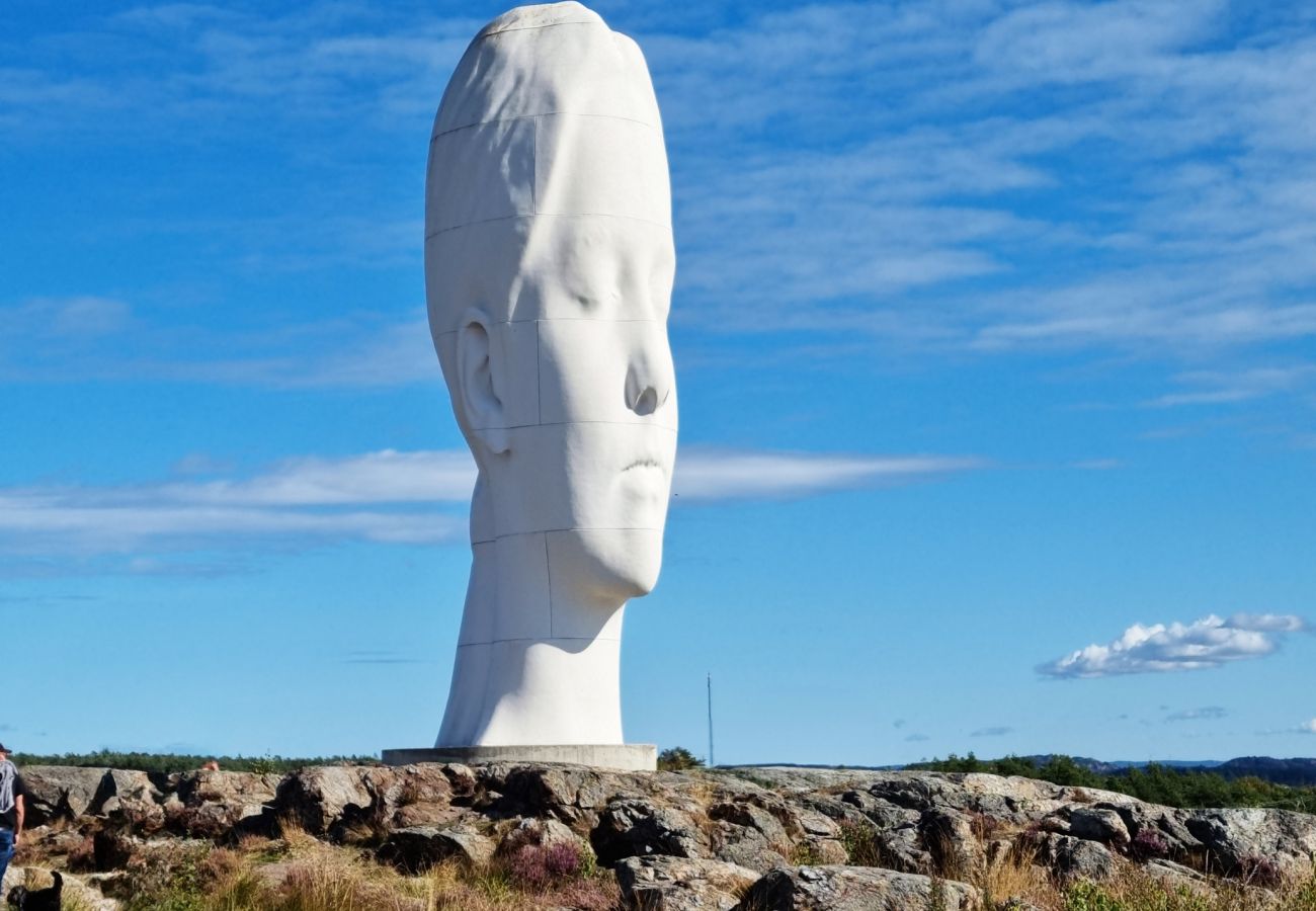 Ferienhaus in Varekil - Schöne Wohnung, perfekt um Tjörn und Orust zu erkunden | SE09153