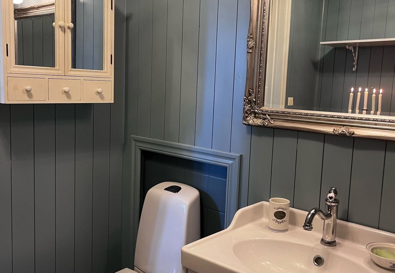 Villa in Svanesund - SE09167