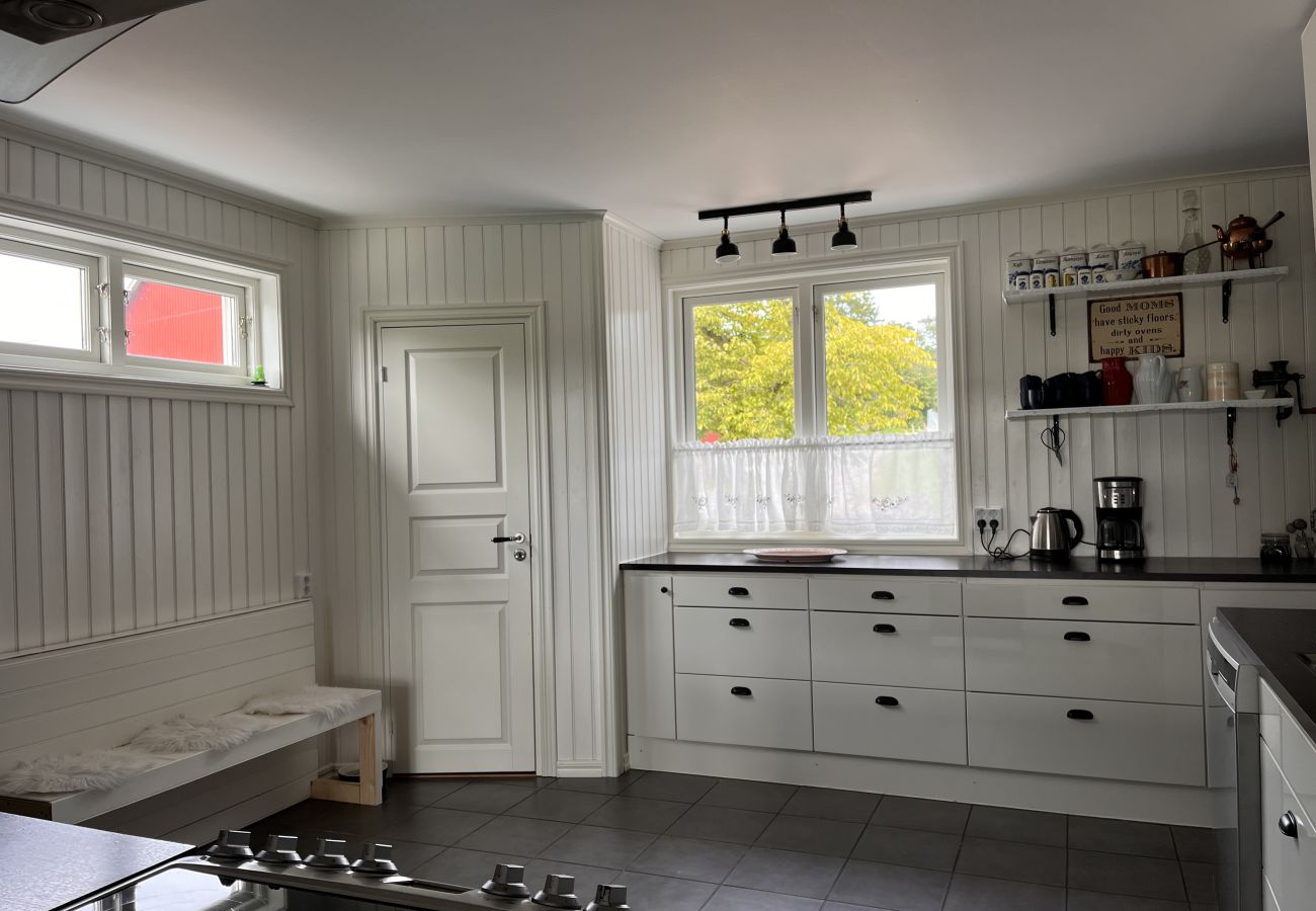 Villa in Svanesund - SE09167