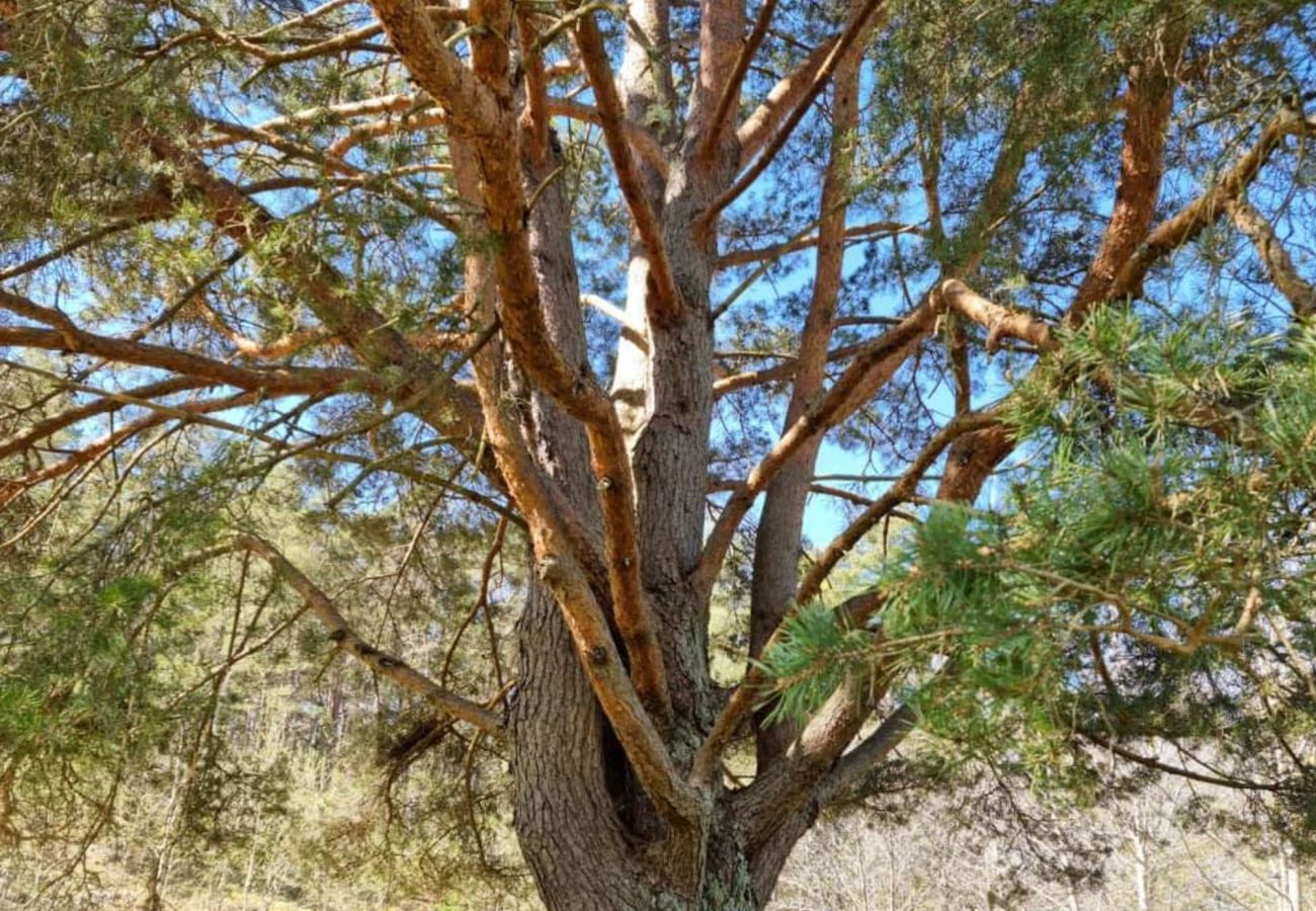 Ferienhaus in Svanesund - Ferienhaus in Svanesund nahe Strand & Einkauf | SE09163