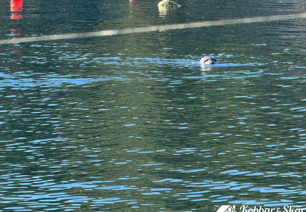 Ferienhaus in Myggenäs - Hundefreundliches Haus mit Boot & privatem Steg auf Tjörn | SE09170