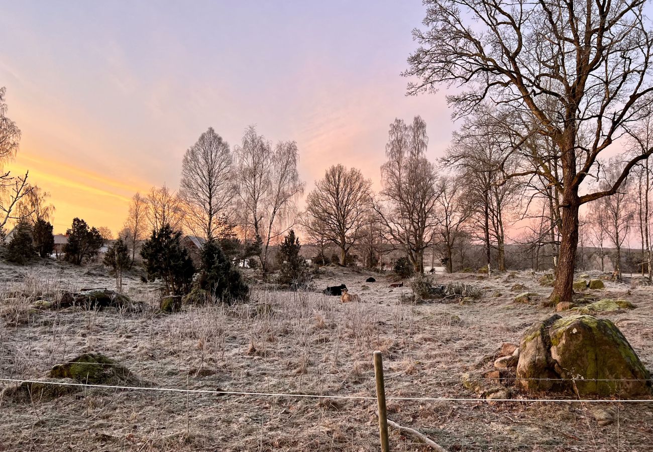 Ferienhaus in Ljung - Ländlicher Charme und moderner Komfort – naturnah und mit Bademöglichkeit |SE08016