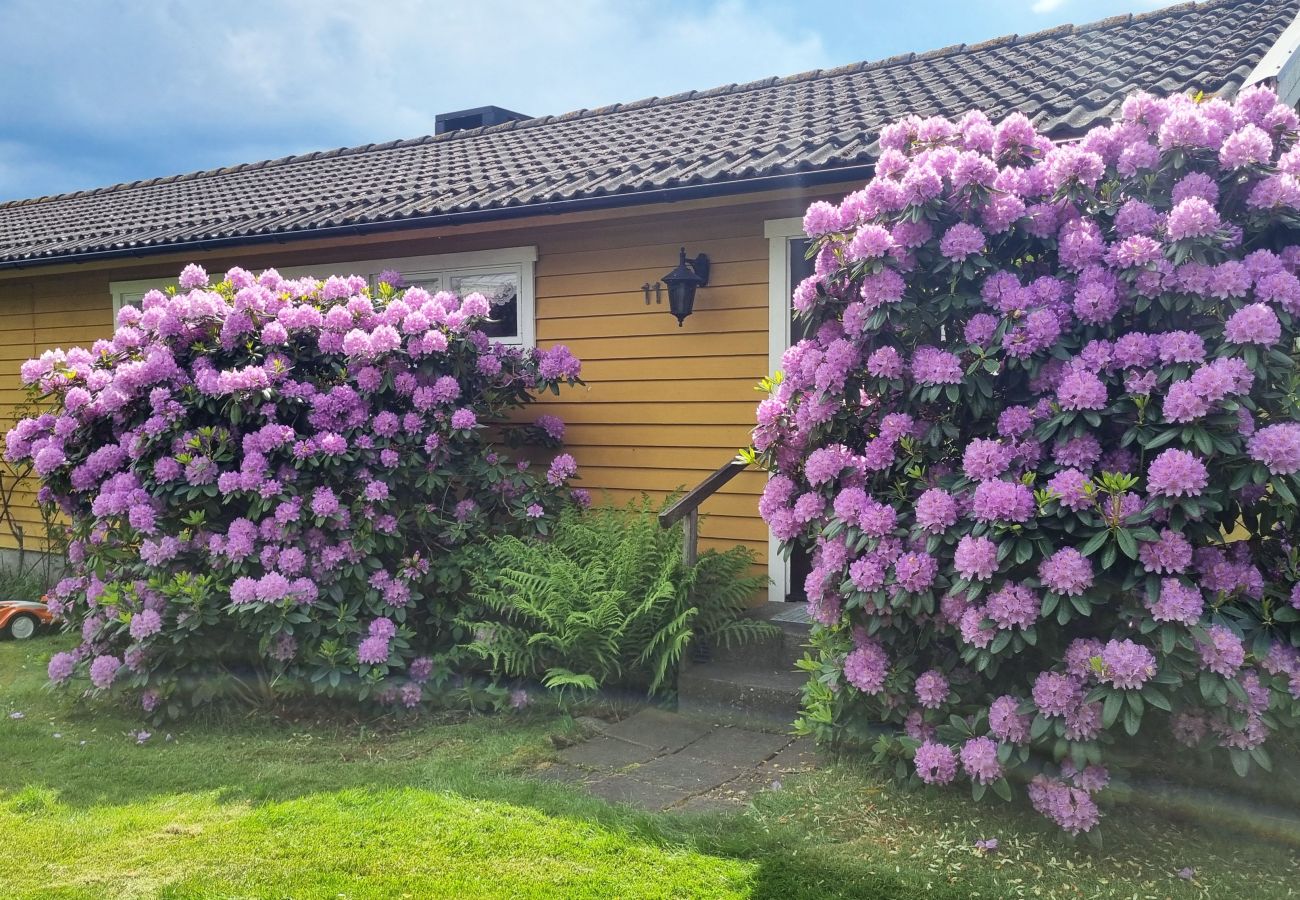 Ferienhaus in Åsa - Traumhaftes Ferienhaus am Meer in Frillesås |SE02120