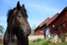 Ferienhaus in Vena - Ländliches Ferienhaus nahe Astrid Lindgrens Welt | SE05100