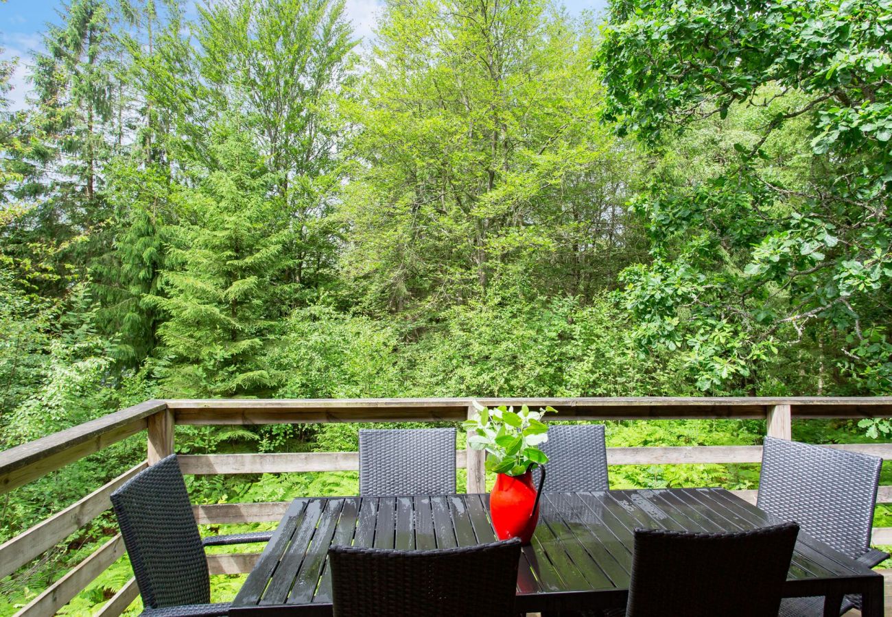 Table with amazing view of the forest