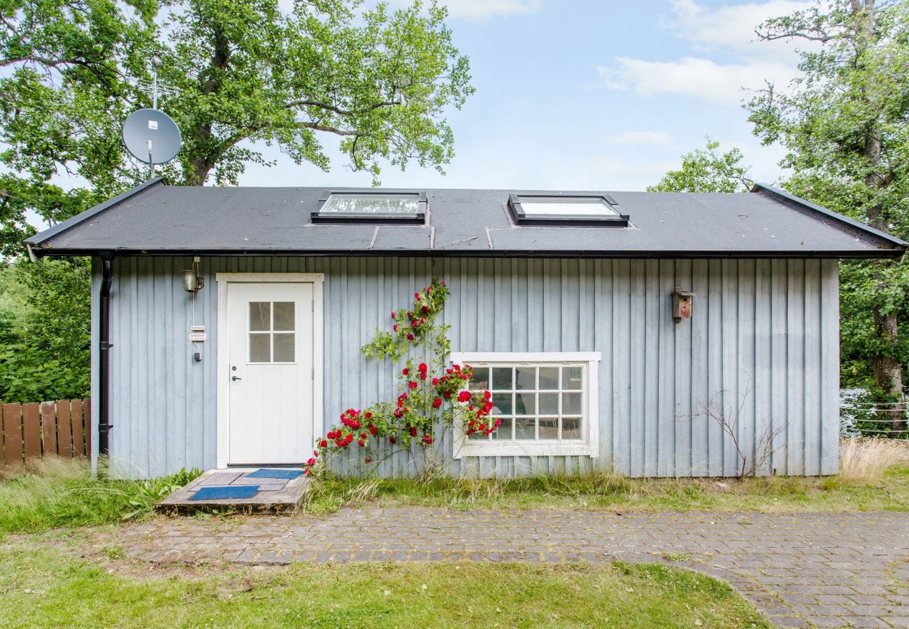 Medium sized cabin